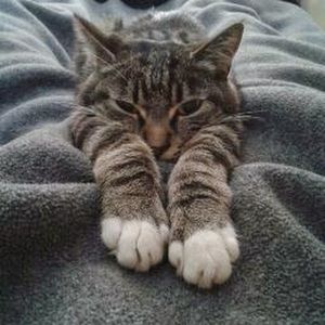 Meet your Posher, Dnell